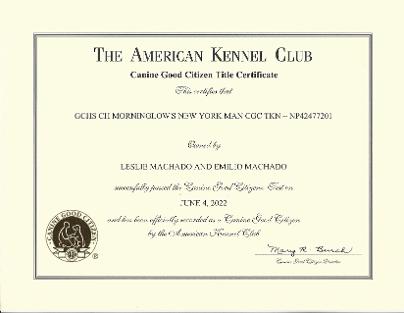 Kennel club good clearance citizen near me